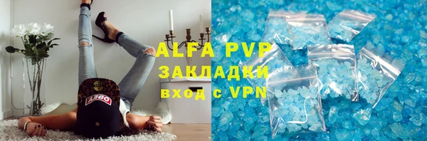 PSILOCYBIN Лагань