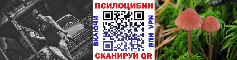 Псилоцибиновые грибы MAGIC MUSHROOMS  Купить  Коряжма 